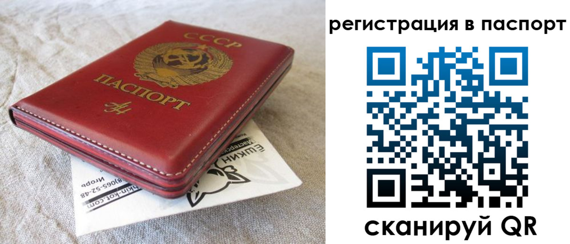 где прописаться в Карабаново